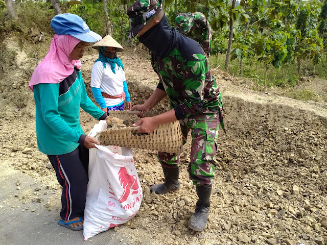 Gotong Royong Kunci Sukses Membangun Desa Baleharjo Gotong Royong Kunci Sukses Membangun Desa Baleharjo