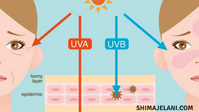 Bila Masa Perlu Pakai Krim Perlindungan  Sinar UV?