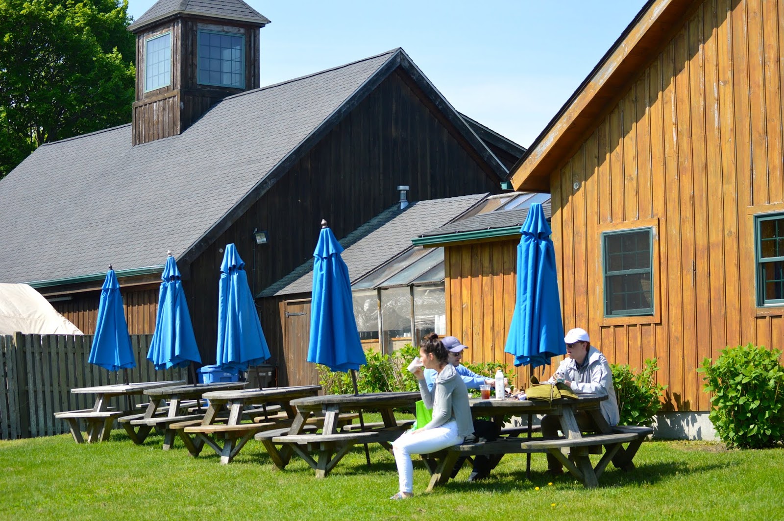 Annabanana Sweet Berry Farm Middletown, RI