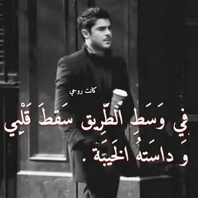 shof_aca8440f9bee905
