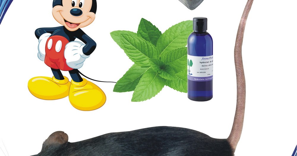 How to Keep Mice Away From Your Home