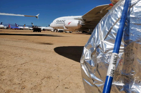 'Wheel whackers' keep snakes out of planes in California desert 'Wheel whackers' keep snakes out of planes in California desert