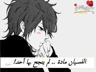 e123252d753465bb441a7789ea3e2caf0a2883b4_hq