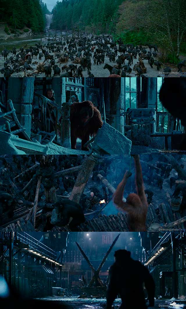 El planeta de los simios Online Espaol Latino 2001