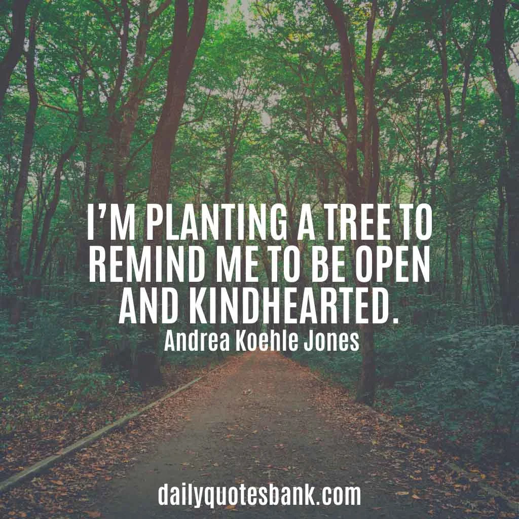 Inspirational Quotes About Planting Trees For Future Generations