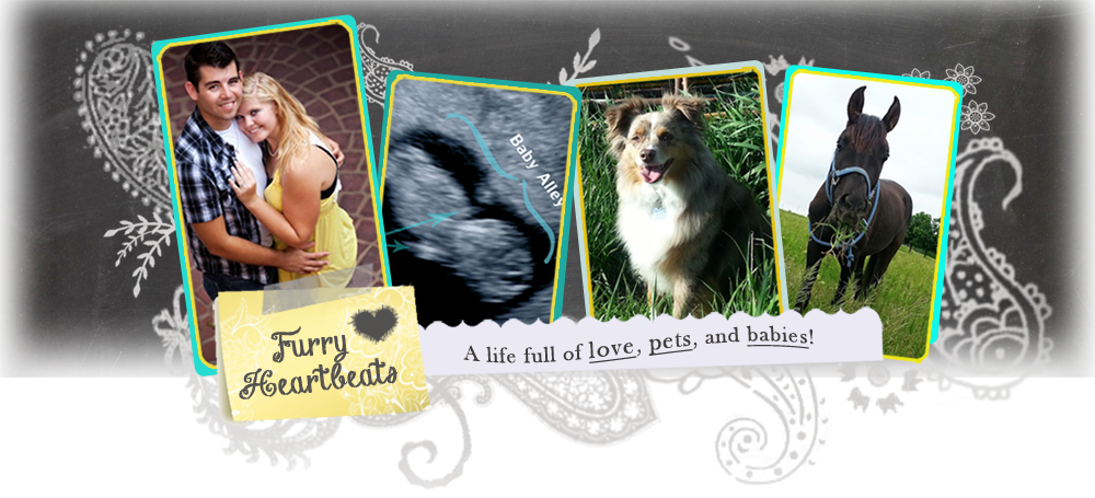 Furry Heartbeats | Life, Love, and Pets!