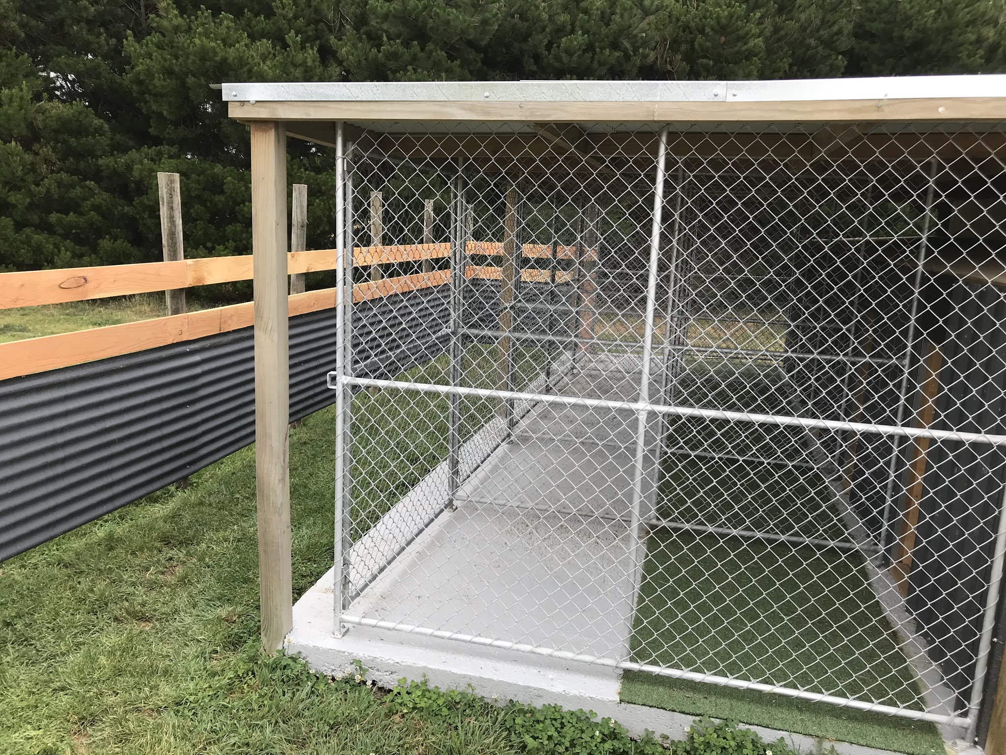 Feral Greyhound Kennels