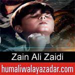 https://humaliwalaazadar.blogspot.com/2019/08/zain-ali-zaidi-nohay-2020.html