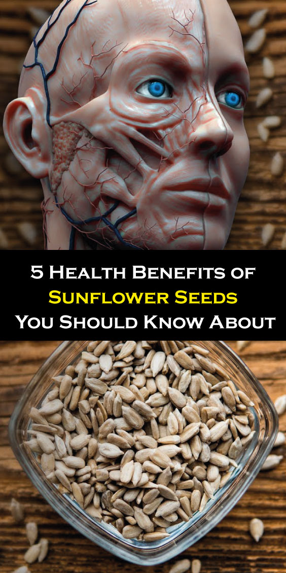 5 Health Benefits of Sunflower Seeds You Should Know About KrobKnea