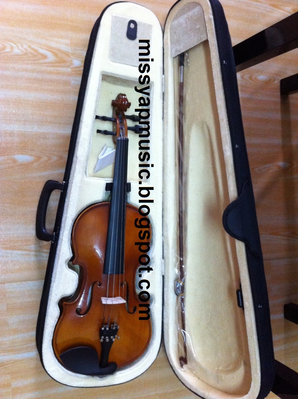 MsYapViolin Piano音乐教室 Violin Instrument for Beginners
