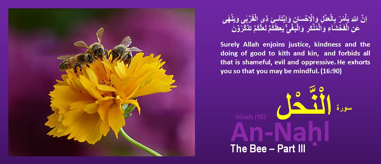 Surah AnNahl The Bee 16th Chapter of Quran Exegesis Part III