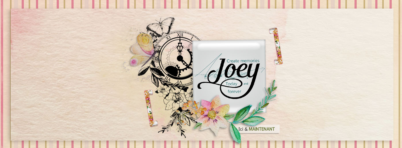 Le scrap de Joey