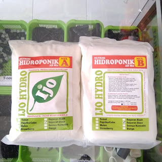Cara Menanam Hidroponik Untuk Pemula (Pakcoy, Kangkung, Bayam, Sawi Dll) Cara Menanam Hidroponik Untuk Pemula (Pakcoy, Kangkung, Bayam, Sawi Dll)