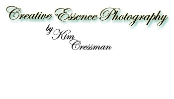 Creative Essence Photography by Kim Cressman