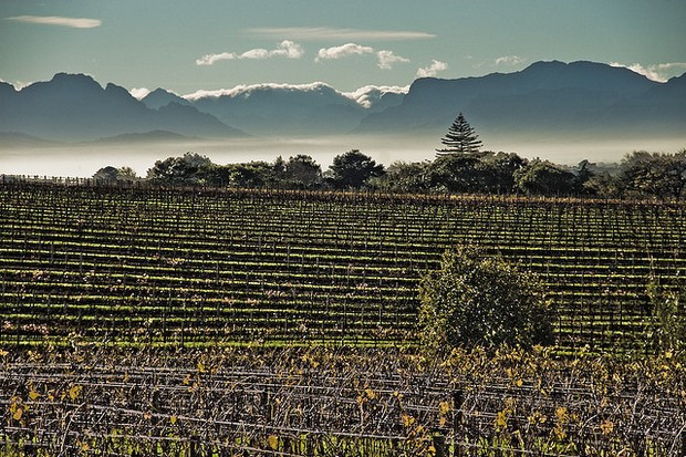 Cape Town Vineyards & Mountains