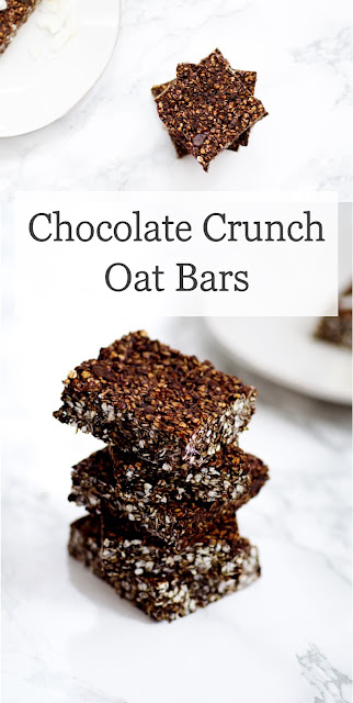 Chocolate Crunch Oat Bars |Euphoric Vegan