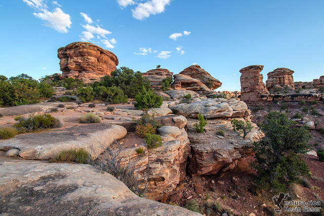 Canyonlands - Needles