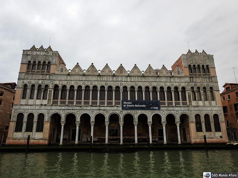 Museu de Historia Naturale - O que fazer em Veneza Museu de Historia Naturale - O que fazer em Veneza