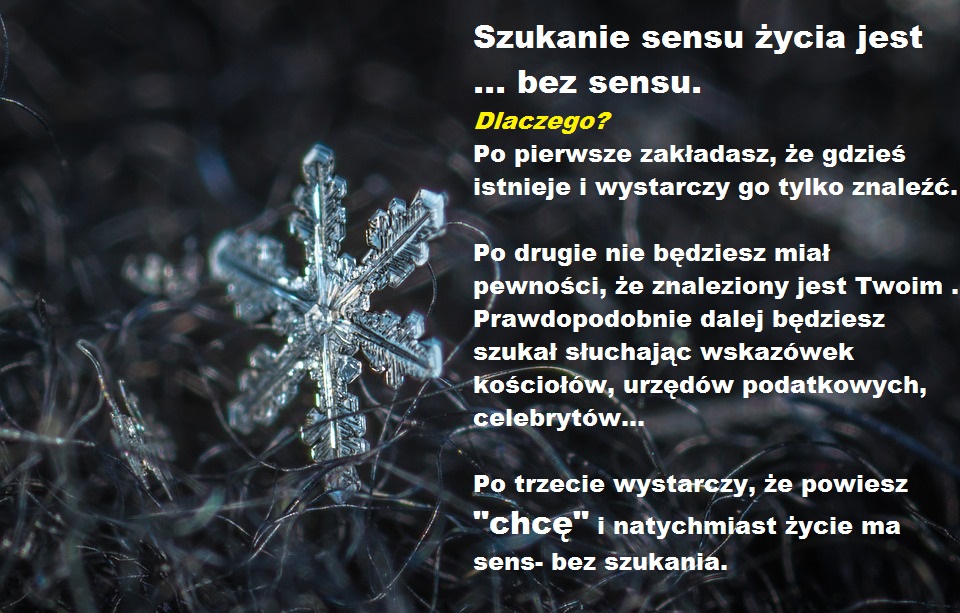 Pleść Jak Na Mękach Czyli Mówić Bez Sensu