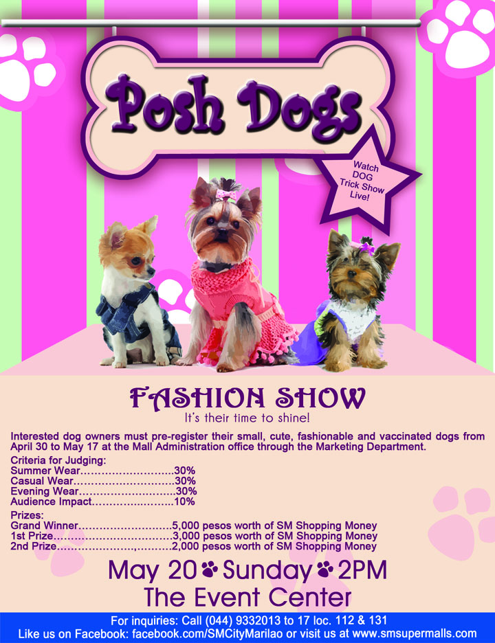 Posh Dogs Fashion Show at SM City Marilao