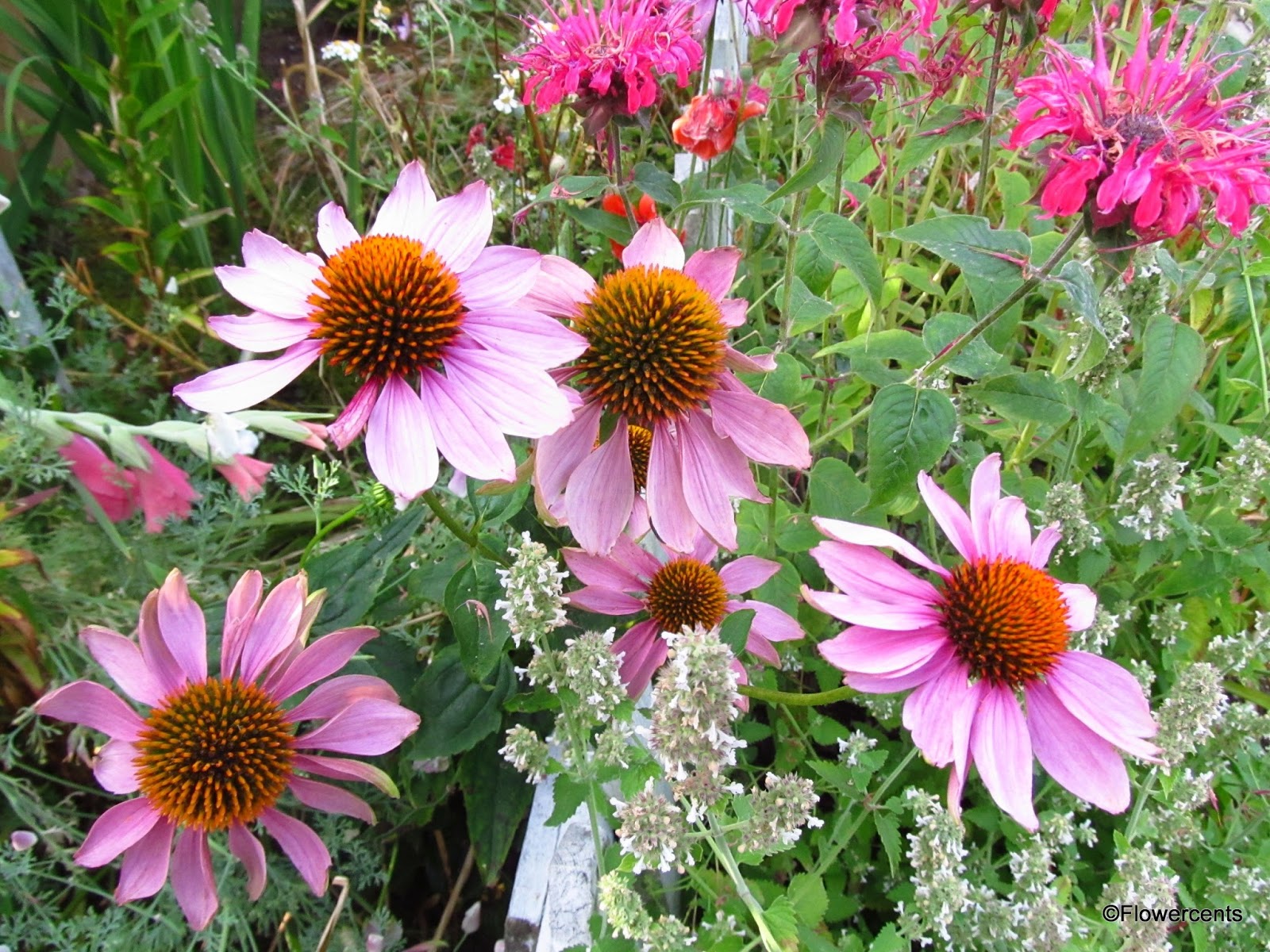 Flowercents: August 2013