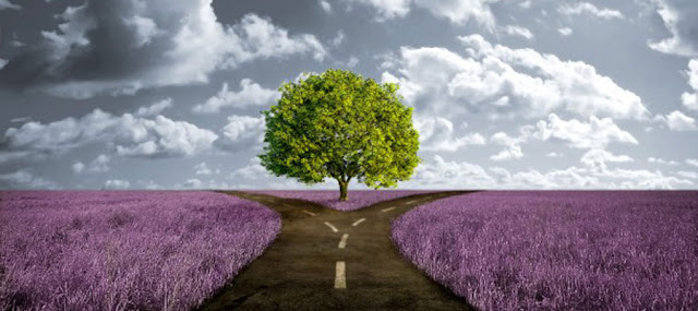 Pour Derek Sivers, face à un choix à faire, petit ou grand, il est plutôt conseillé de ne pas agir sous le coup de l'émotion. Si vous traversez une crise, laissez donc passer la tempête, et prenez du temps pour réfléchir posément.