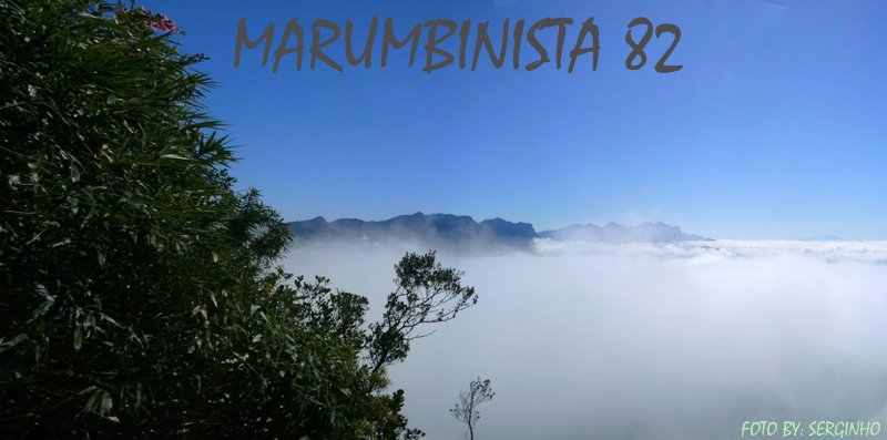 Marumbinista 82