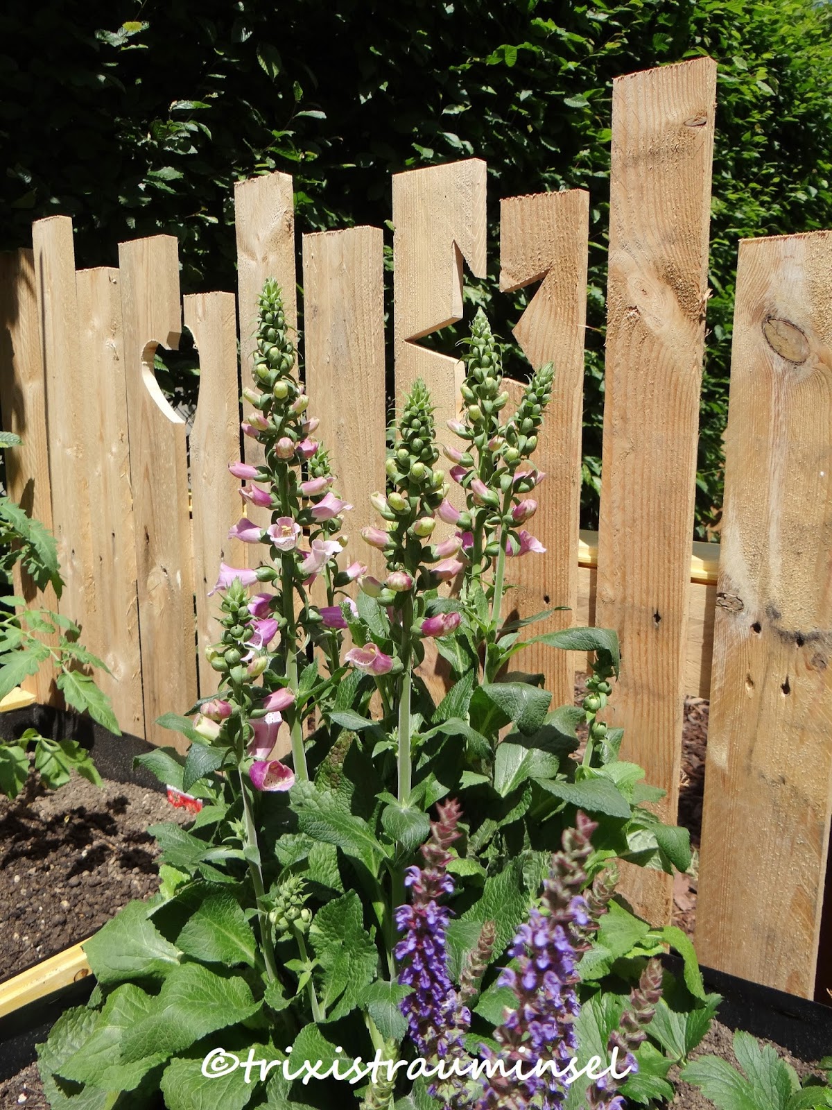 trixistrauminsel Neues HolzDIY im Garten