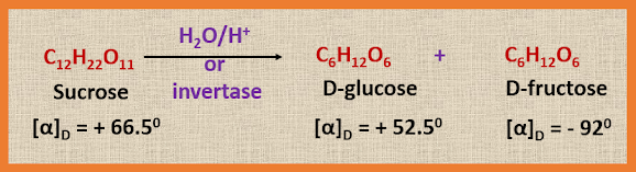 ELEMENTAL CHEMISTRY: Sucrose