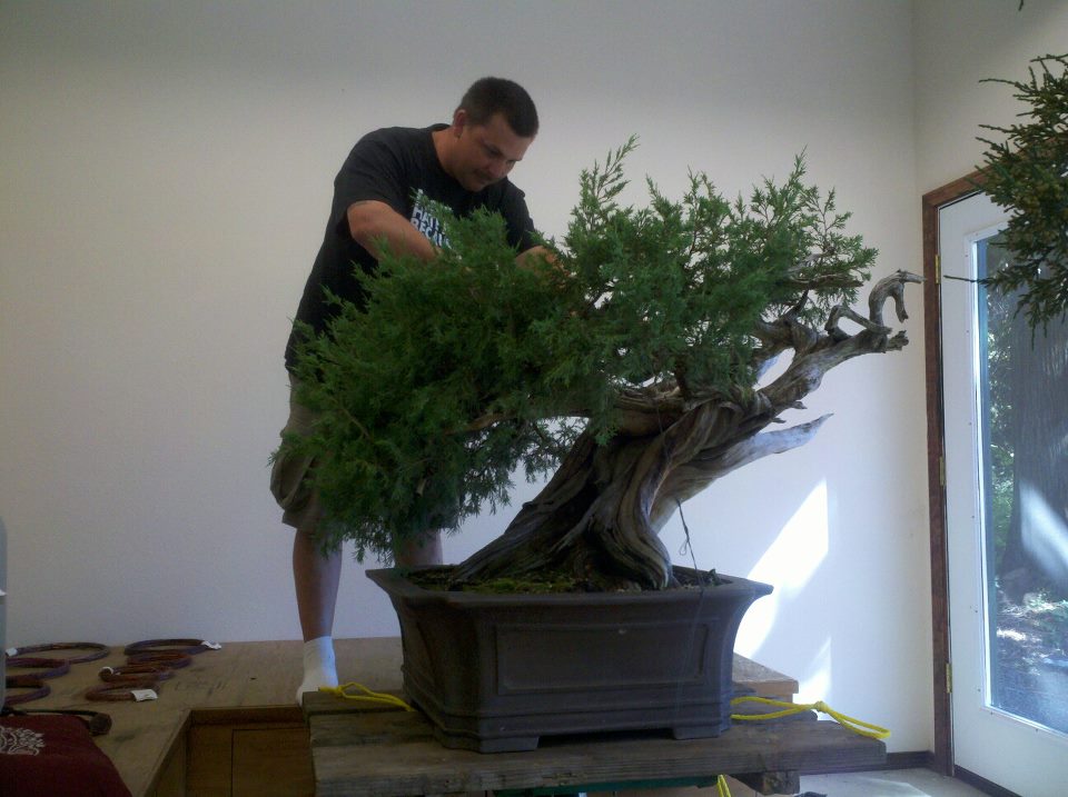 Focal Points Impromptu Trip to Bonsai Mirai