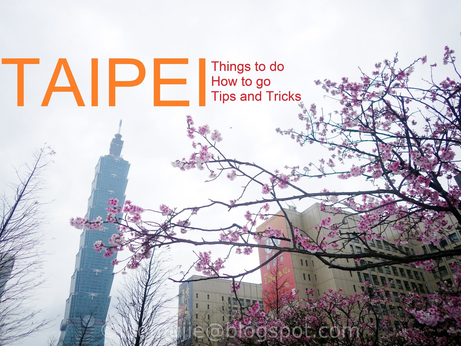 Taipei things to do