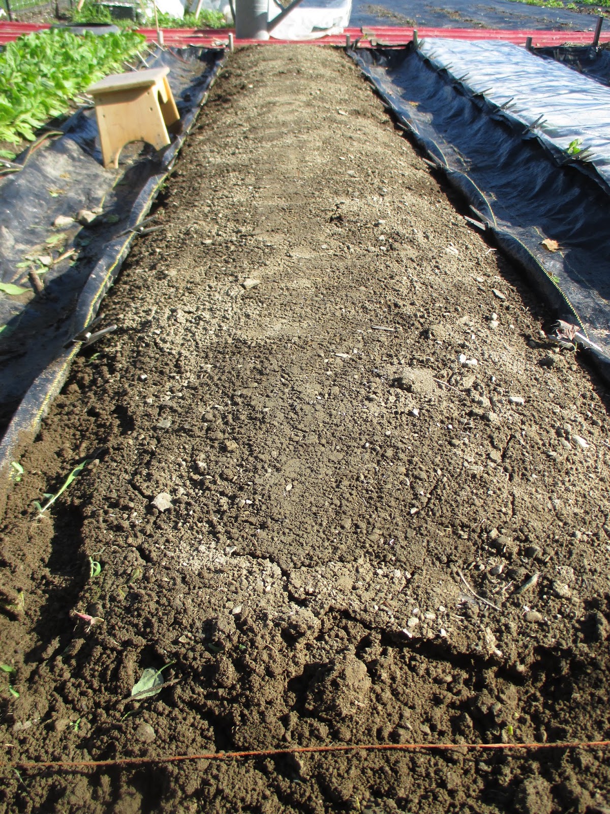 The Deliberate Agrarian: Solarizing Garden Beds