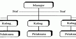 Macam - Macam Bentuk Struktur Organisasi