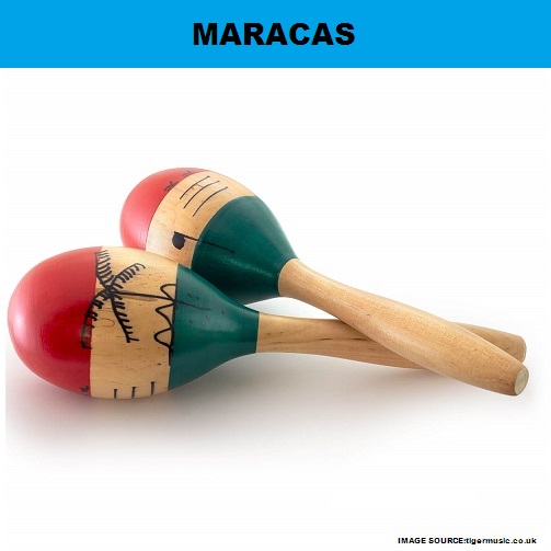My Homeworks PERCUSSION INSTRUMENTMARACAS