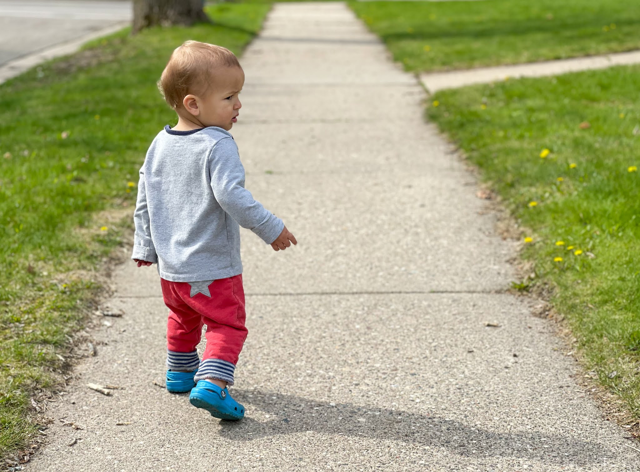 Montessori Toddler Activity - Going for A Walk 