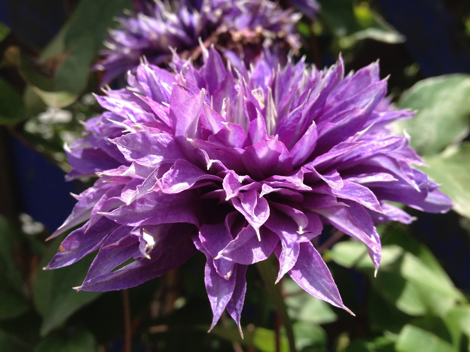Photos prises avec un canon EOS 60D