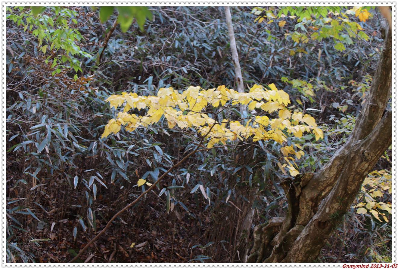 순천 조계산 선암사 순천 조계산 선암사