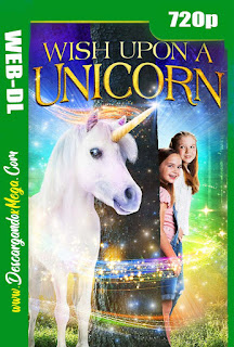 Wish Upon A Unicorn (2020) 
