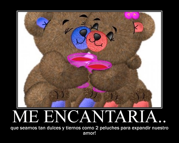 frases de amor con osos de peluche