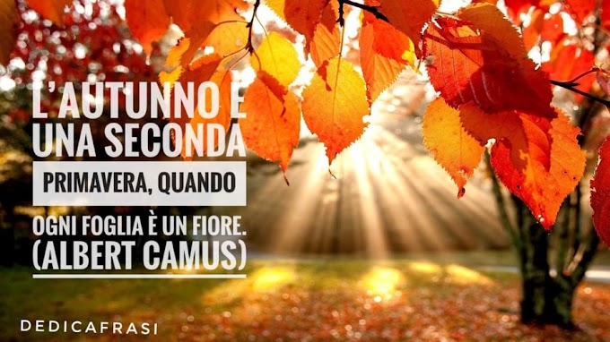 Frasi Autunno Dedicafrasi