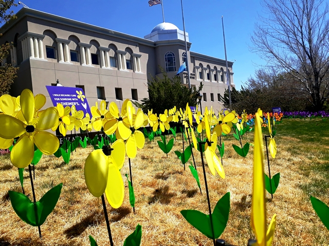 20210422_153103.jpg?profile=RESIZE_710x