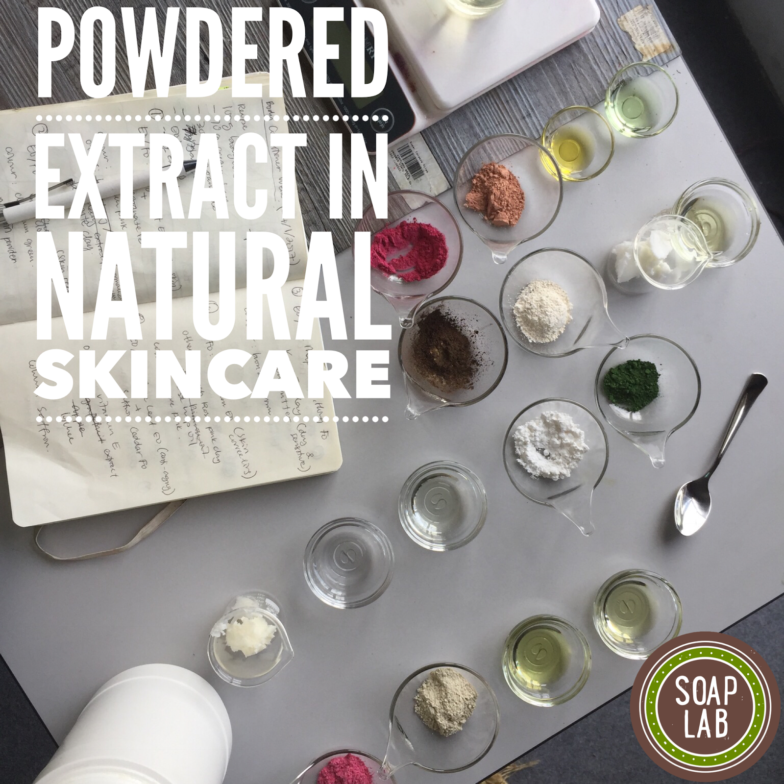 SoapLab Malaysia Using Powdered Extracts in Homemade Natural Skincare