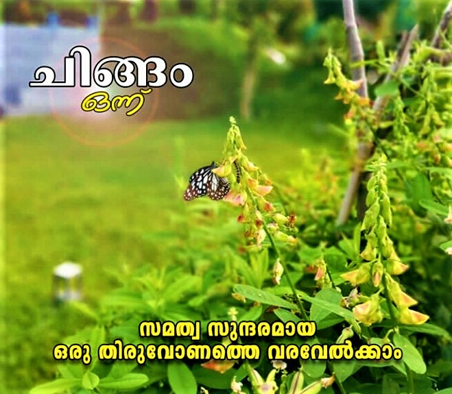 Chingam 1 Wishes Greetings Messages Hd Images To Be S vrogue.co