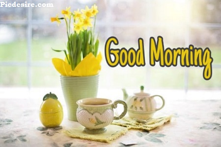 Best 20 Good Morning Images | Good Morning Images for Whatsapp Best 20 Good Morning Images | Good Morning Images for Whatsapp