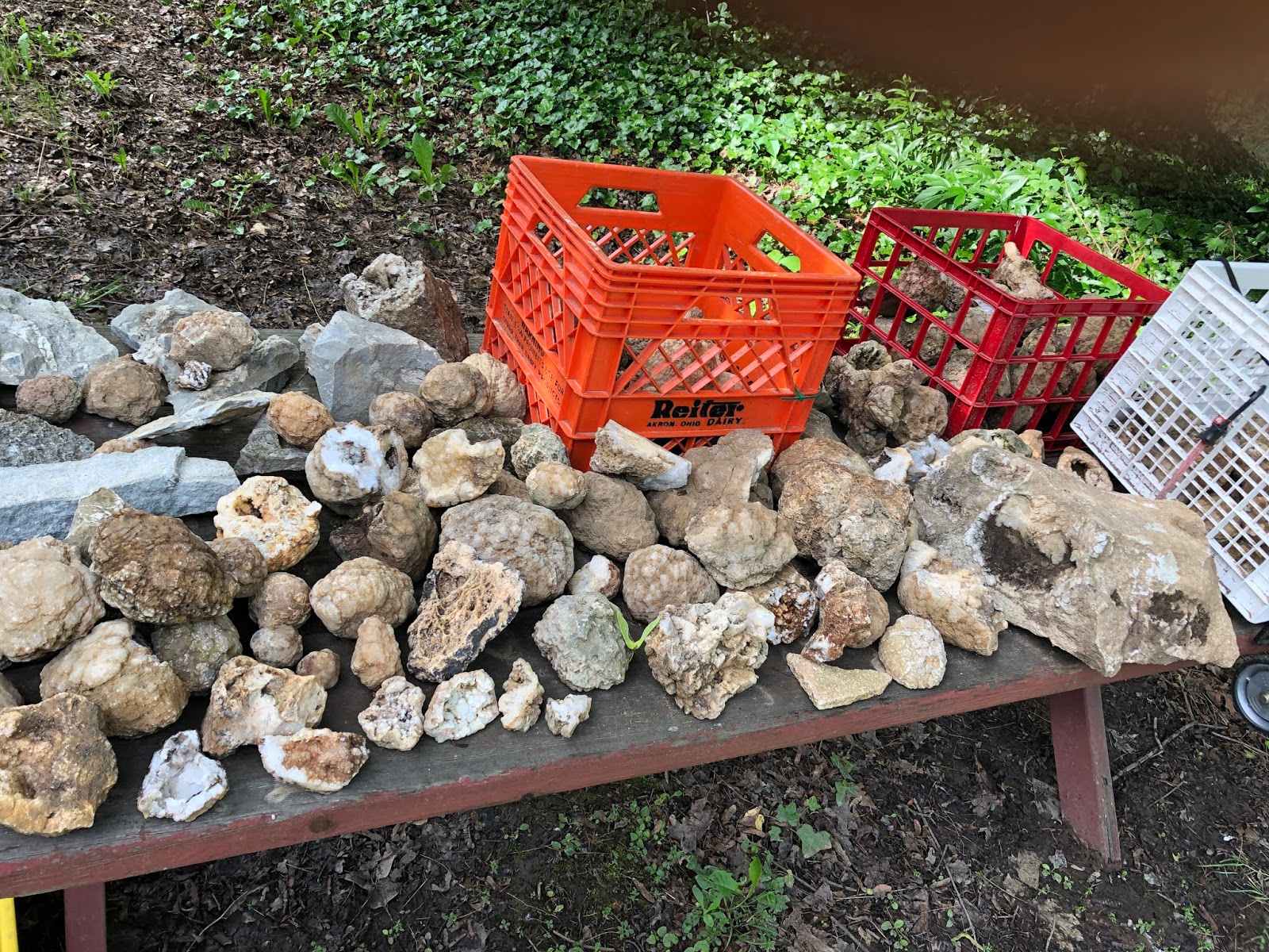 Digital Rockhound's Companion Site Geode hunting near Bloomington Indiana