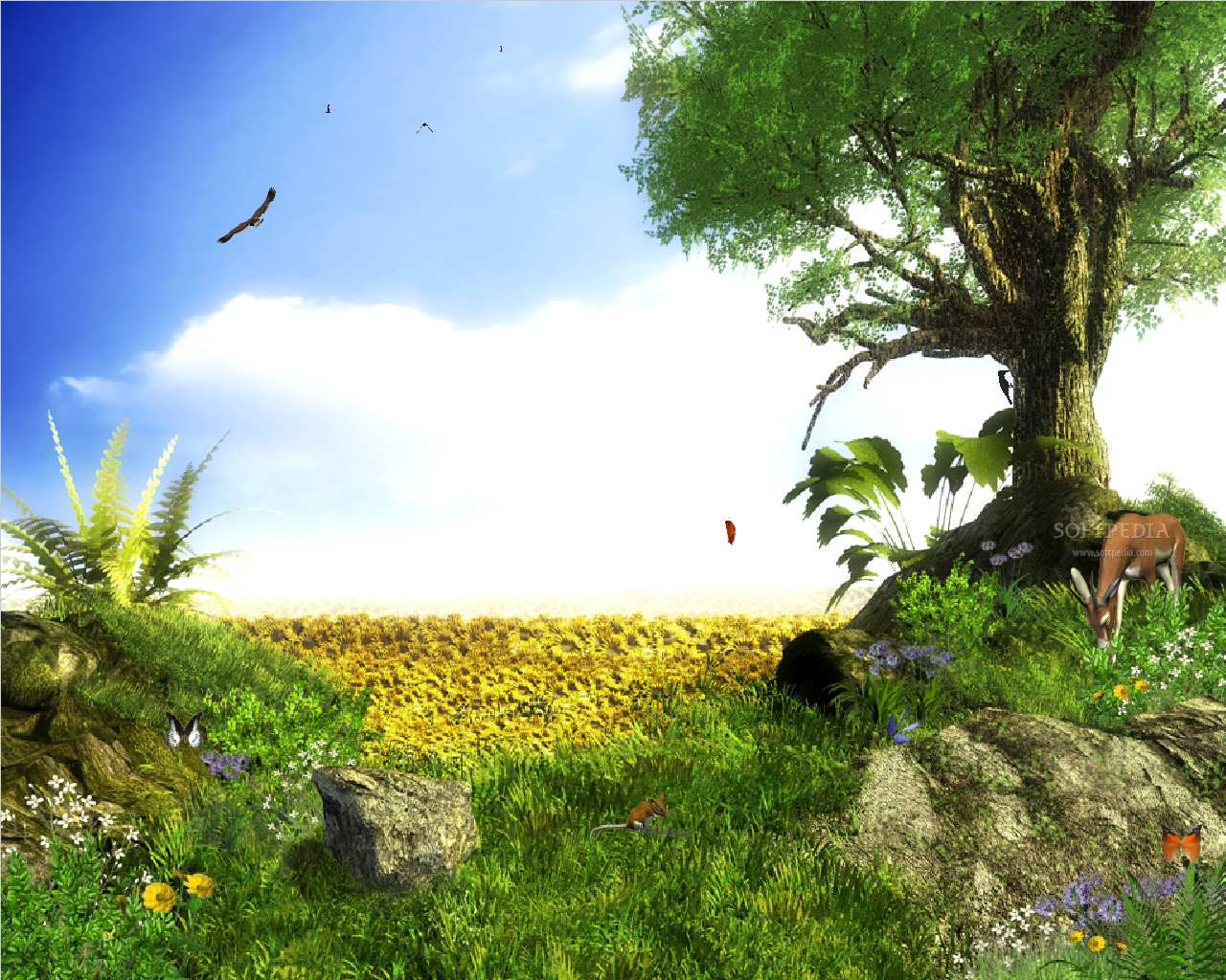 nature animated clipart - photo #44