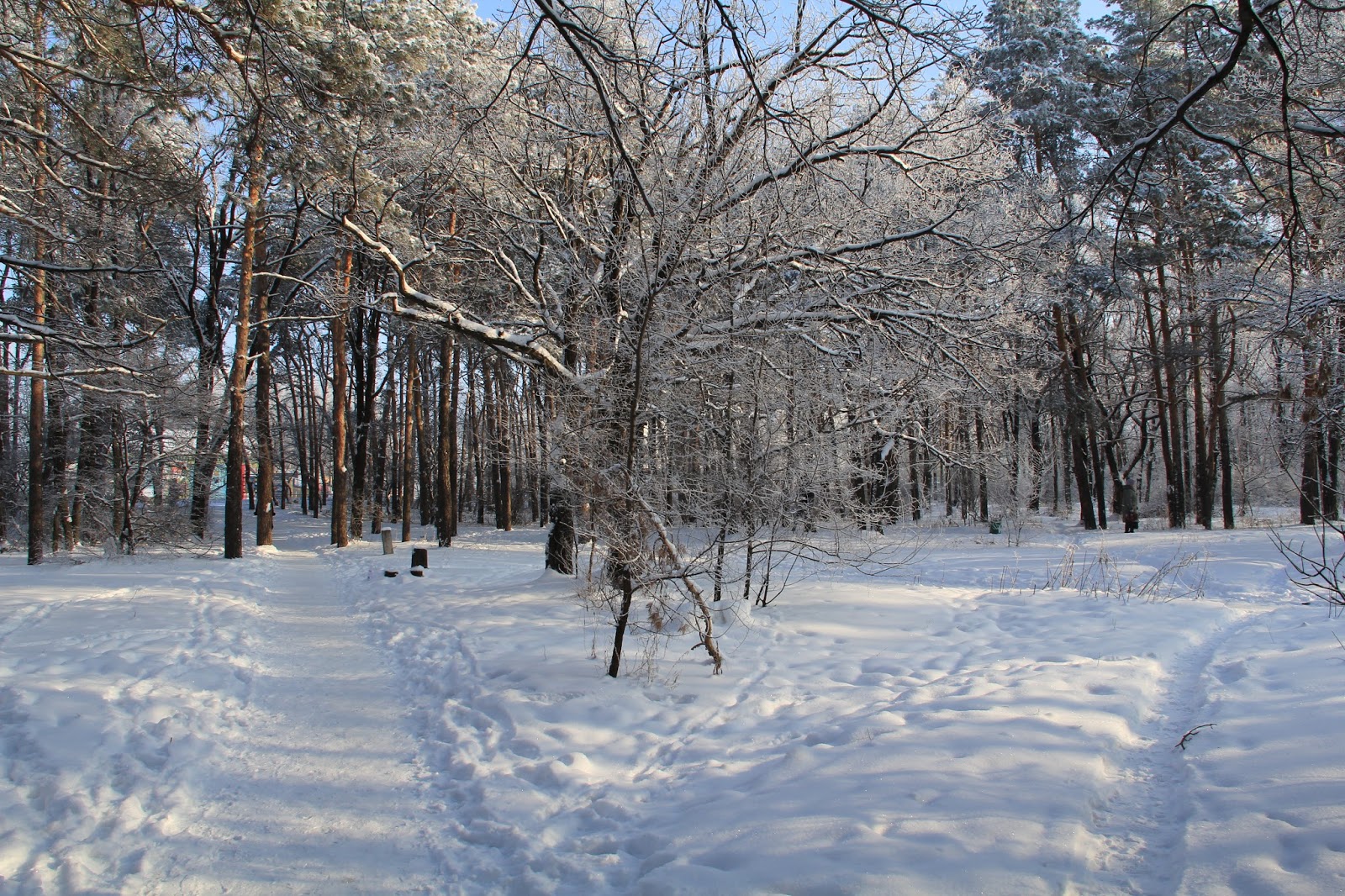 Нововоронеж парк