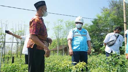 Program Electrifying Agriculture PLN