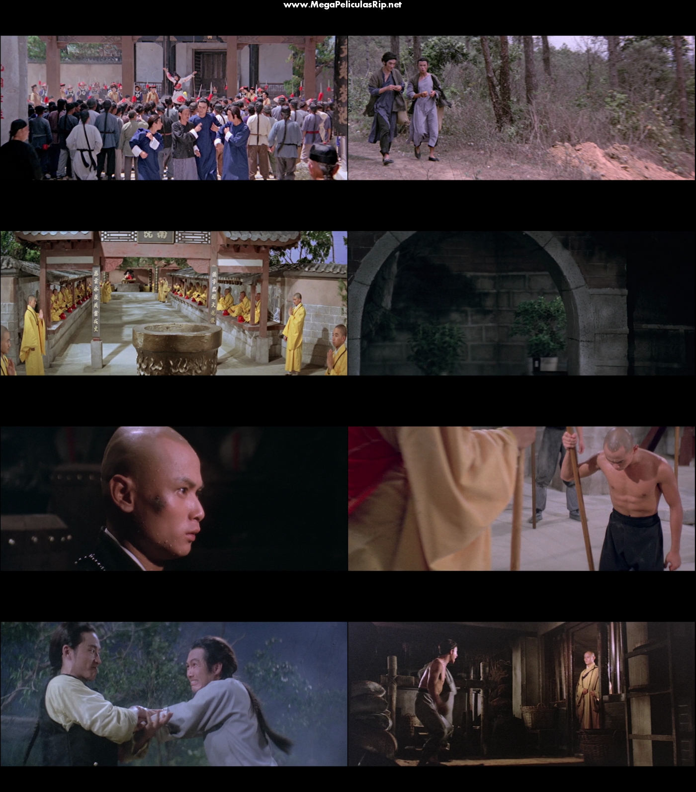 La Camara 36 De Shaolin 1080p Latino