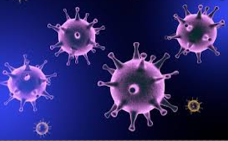 Virus Characteristics | Virus Stages | Virus infected ways